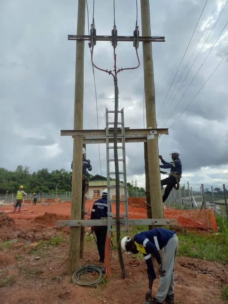 Pole structure erection
